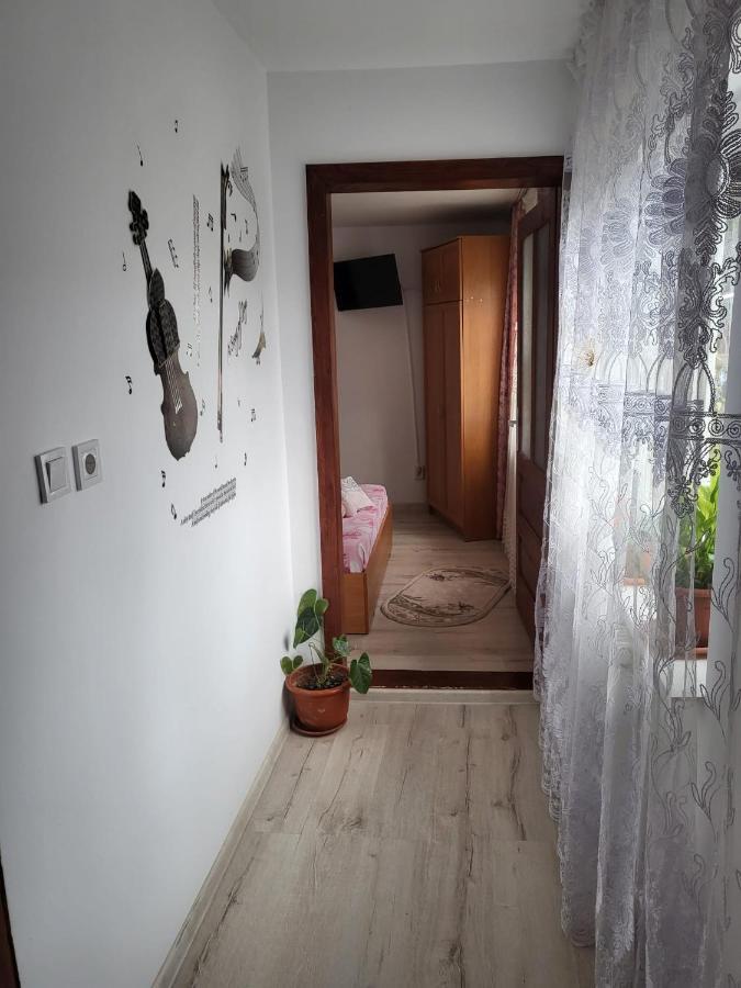Pensiunea Lacramioara 바틀돌니 외부 사진